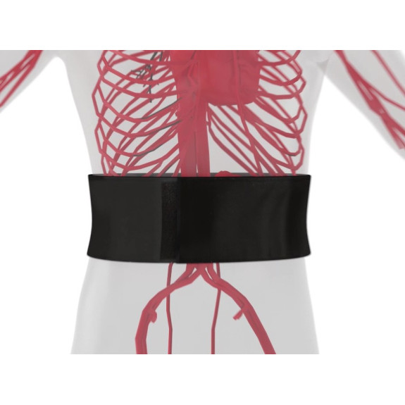 Super Kidney Warmer | Generating Far Infrared Heat Super Kidney Warmer | Generating Far Infrared Heat