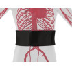 Super Kidney Warmer | Generating Far Infrared Heat Super Kidney Warmer | Generating Far Infrared Heat